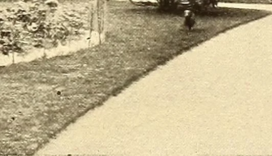 An illustration from Other famous homes of Great Britain and their stories, 1902, leaf 298