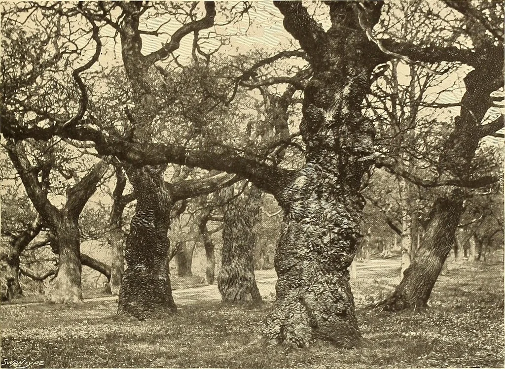 An illustration from Other famous homes of Great Britain and their stories, 1902, leaf 310