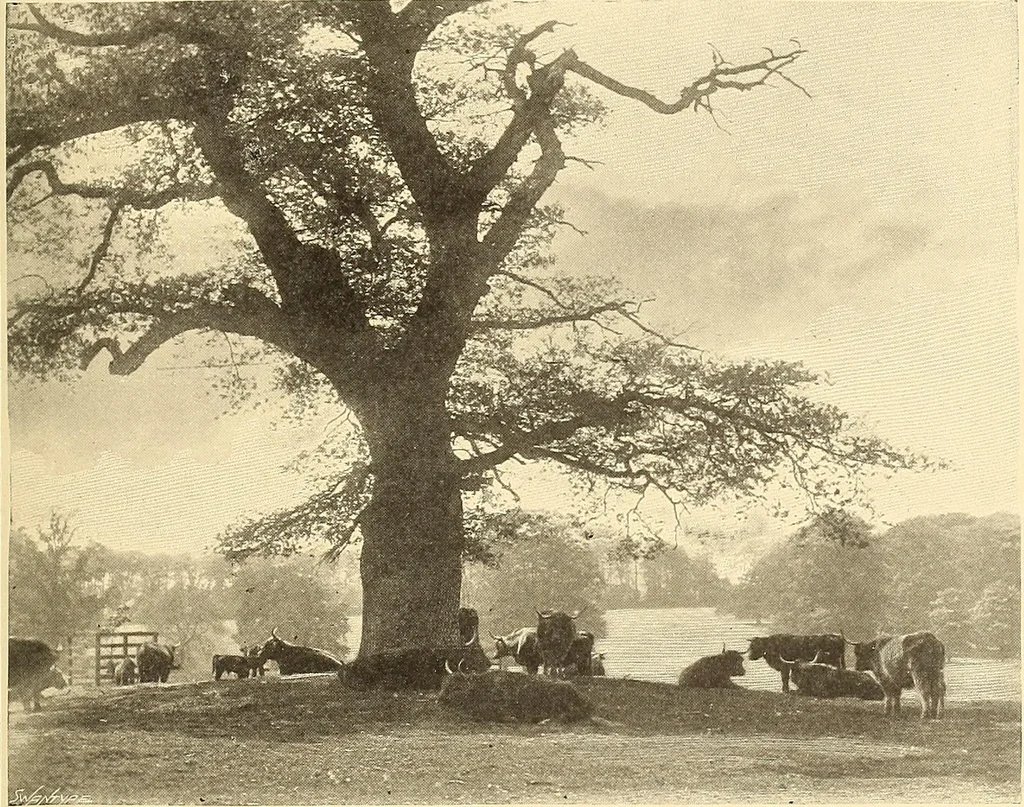 An illustration from Other famous homes of Great Britain and their stories, 1902, leaf 64