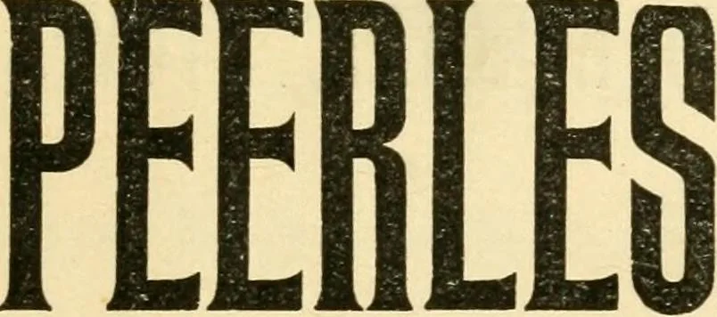 An illustration from The other way : respectfully dedicated to all good housewives, 1899, leaf 10