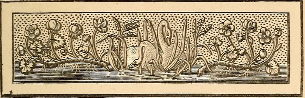An illustration from The other world; or, Glimpses of the supernatural. Being facts, records, and traditions relating to dreams, omens, miraculous occurrences, apparitions, wraiths, warnings, second-sight, witchcraft, necromancy, etc, 1875, leaf 10