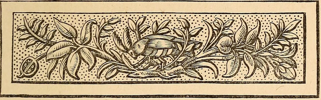 An illustration from The other world; or, Glimpses of the supernatural. Being facts, records, and traditions relating to dreams, omens, miraculous occurrences, apparitions, wraiths, warnings, second-sight, witchcraft, necromancy, etc, 1875, leaf 162