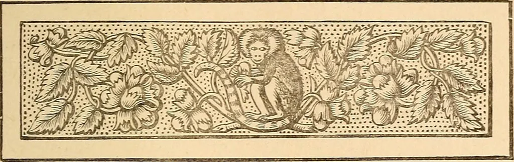 An illustration from The other world; or, Glimpses of the supernatural. Being facts, records, and traditions relating to dreams, omens, miraculous occurrences, apparitions, wraiths, warnings, second-sight, witchcraft, necromancy, etc, 1875, leaf 12