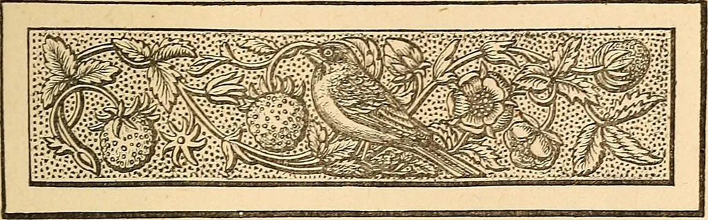 An illustration from The other world; or, Glimpses of the supernatural. Being facts, records, and traditions relating to dreams, omens, miraculous occurrences, apparitions, wraiths, warnings, second-sight, witchcraft, necromancy, etc, 1875, leaf 144