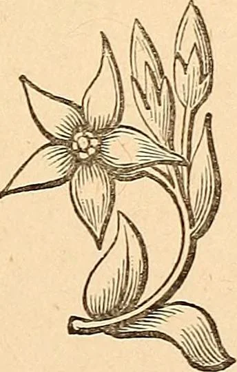 An illustration from The other world; or, Glimpses of the supernatural. Being facts, records, and traditions relating to dreams, omens, miraculous occurrences, apparitions, wraiths, warnings, second-sight, witchcraft, necromancy, etc, 1875, leaf 174
