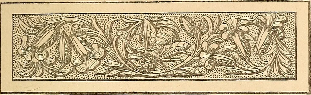 An illustration from The other world; or, Glimpses of the supernatural. Being facts, records, and traditions relating to dreams, omens, miraculous occurrences, apparitions, wraiths, warnings, second-sight, witchcraft, necromancy, etc, 1875, leaf 178