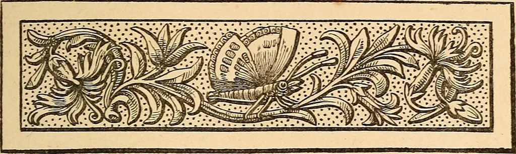 An illustration from The other world; or, Glimpses of the supernatural. Being facts, records, and traditions relating to dreams, omens, miraculous occurrences, apparitions, wraiths, warnings, second-sight, witchcraft, necromancy, etc, 1875, leaf 8