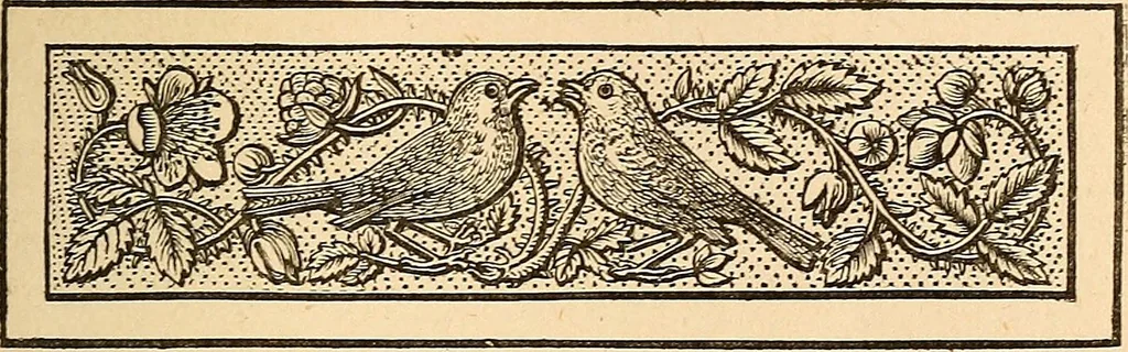An illustration from The other world; or, Glimpses of the supernatural. Being facts, records, and traditions relating to dreams, omens, miraculous occurrences, apparitions, wraiths, warnings, second-sight, witchcraft, necromancy, etc, 1875, leaf 90