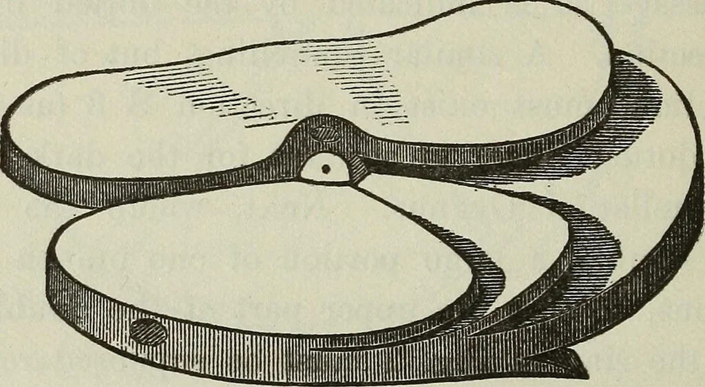 An illustration from Other worlds than ours, 1902, leaf 281