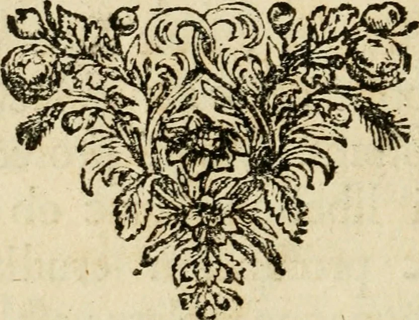 An illustration from Othonis VaenI Emblemata Horatiana : imaginibus in aes incisis : atque latino, germanico, gallico et belgico carmine illustrata, 1684, leaf 13