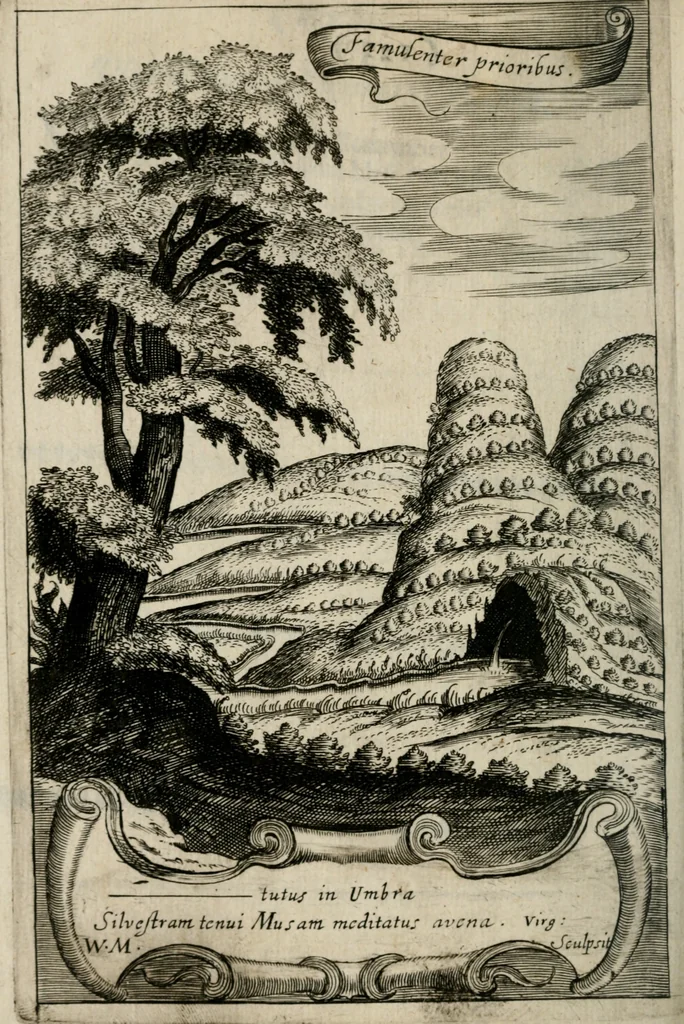 An illustration from Otia sacra : optima fides, 1648, leaf 139