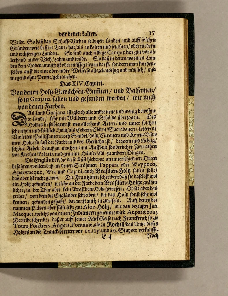 An illustration from Otto Keyens kurtzer Entwurff von Neu-Niederland und Guajana einander entgegen gesetzt, umb den Unterscheid zwischen warmen und kalten Landen herauss zu bringen ..., 1672, leaf 65