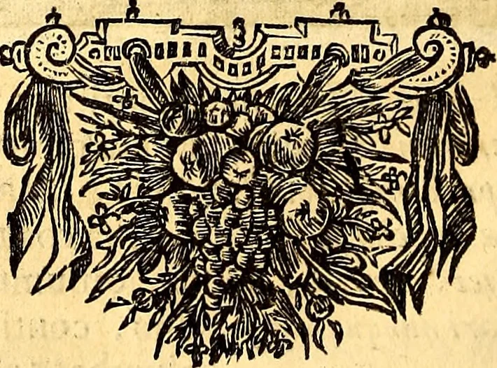 An illustration from Ottonis de Guericke Experimenta nova (ut vocantur) Magdeburgica de vacuo spatio, 1672, leaf 157