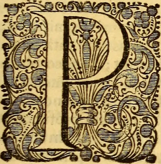 An illustration from Ottonis de Guericke Experimenta nova (ut vocantur) Magdeburgica de vacuo spatio, 1672, leaf 24