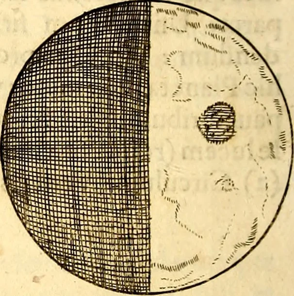 An illustration from Ottonis de Guericke Experimenta nova (ut vocantur) Magdeburgica de vacuo spatio, 1672, leaf 47