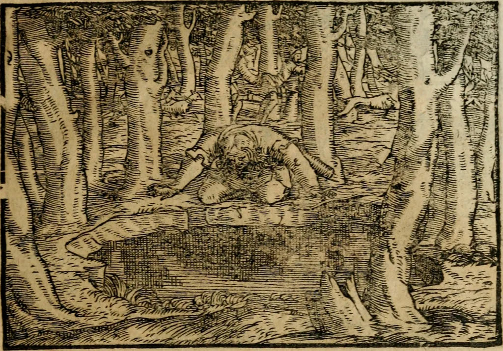 An illustration from Ouidio istorico, politico, morale : breuemente spiegato, e delineato con artificiose figure, accresciuta questa quinta impressione di nuoue allegorie, 1696, leaf 30