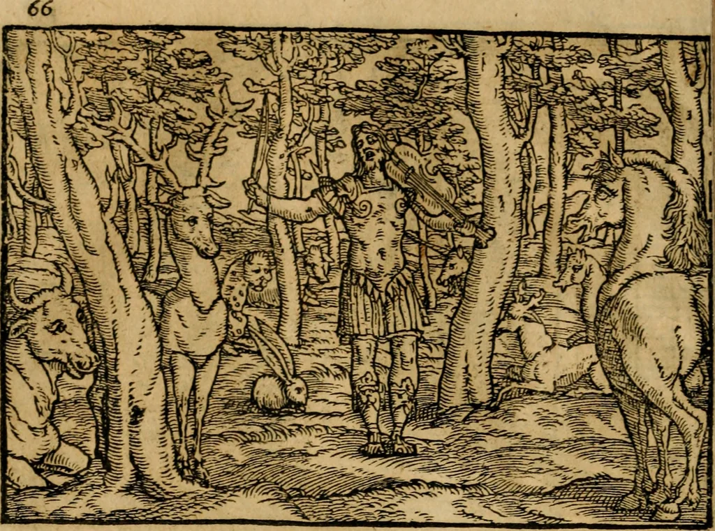 An illustration from Ouidio istorico, politico, morale : breuemente spiegato, e delineato con artificiose figure, accresciuta questa quinta impressione di nuoue allegorie, 1696, leaf 69