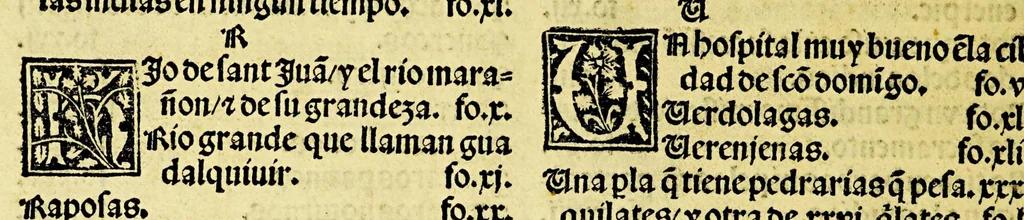 An illustration from Ouiedo Dela natural hystoria delas Indias, 1526, leaf 114