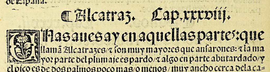 An illustration from Ouiedo Dela natural hystoria delas Indias, 1526, leaf 58