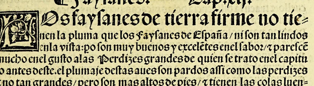 An illustration from Ouiedo Dela natural hystoria delas Indias, 1526, leaf 61