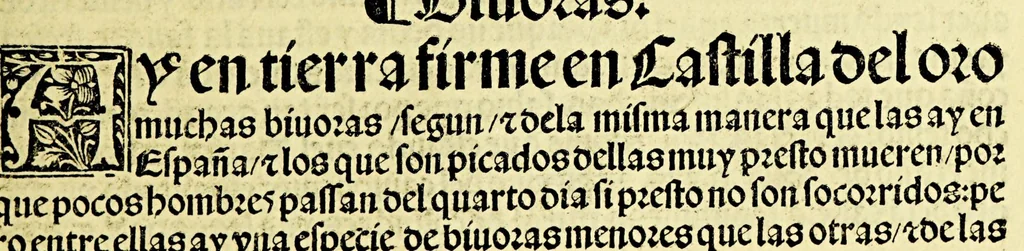 An illustration from Ouiedo Dela natural hystoria delas Indias, 1526, leaf 67