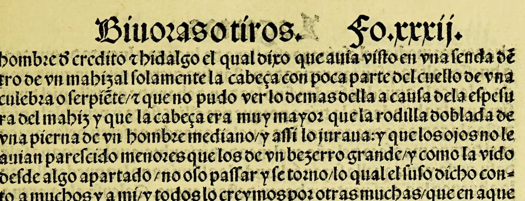 An illustration from Ouiedo Dela natural hystoria delas Indias, 1526, leaf 69