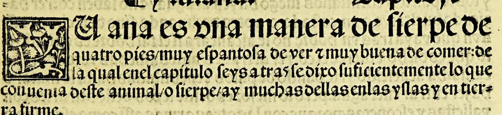 An illustration from Ouiedo Dela natural hystoria delas Indias, 1526, leaf 69