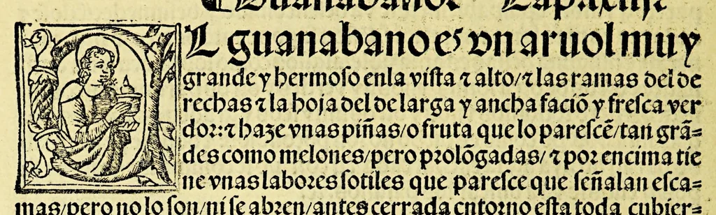An illustration from Ouiedo Dela natural hystoria delas Indias, 1526, leaf 74