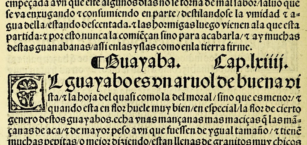 An illustration from Ouiedo Dela natural hystoria delas Indias, 1526, leaf 74