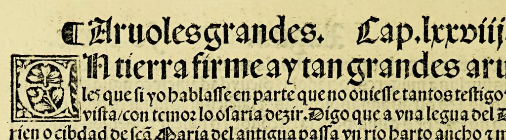An illustration from Ouiedo Dela natural hystoria delas Indias, 1526, leaf 84
