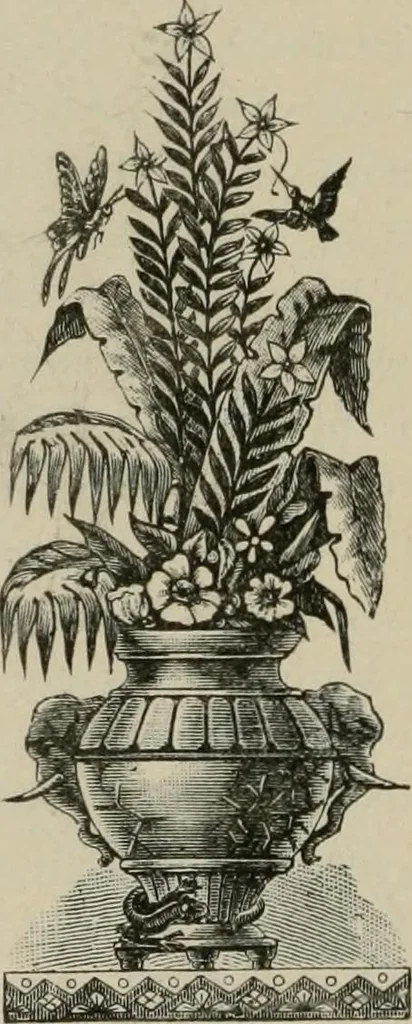 An illustration from Ouina's canoe and Christmas offering : filled with flowers for the darlings of earth, 1882, leaf 163