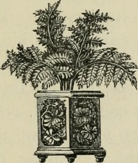An illustration from Ouina's canoe and Christmas offering : filled with flowers for the darlings of earth, 1882, leaf 88