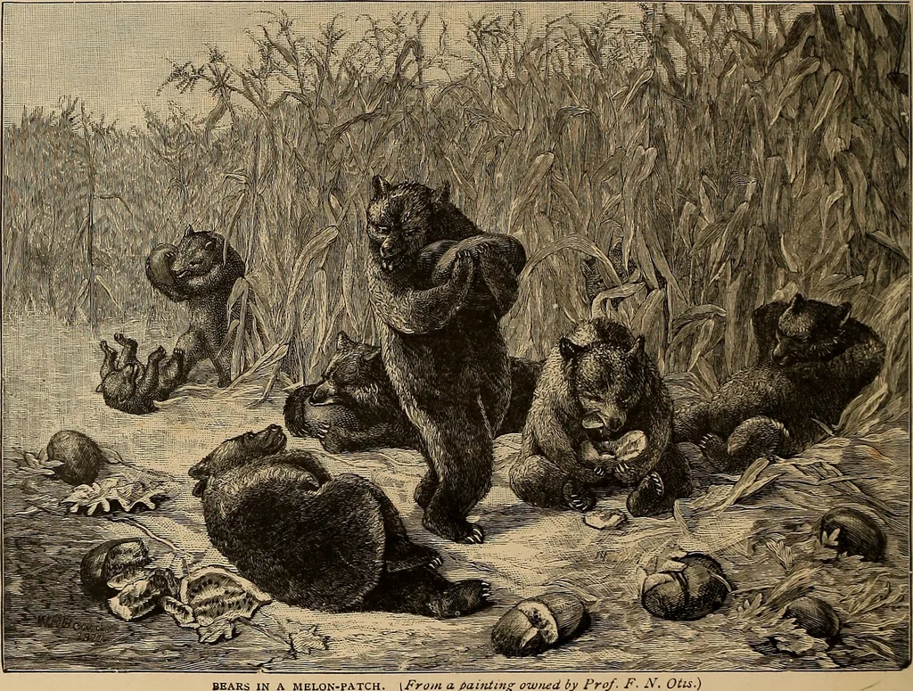 An illustration from Our American artists, 1879, leaf 17