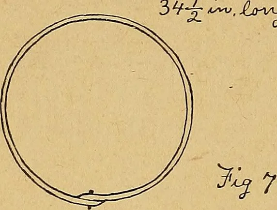 An illustration from Our boys; what they can do and how to do it, 1893, leaf 123