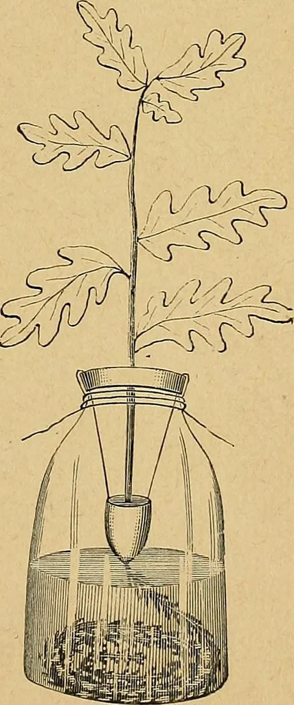 An illustration from Our boys; what they can do and how to do it, 1893, leaf 130