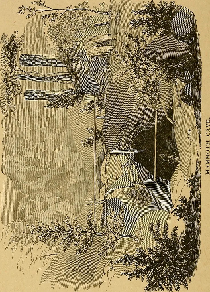 An illustration from Our boys; what they can do and how to do it, 1893, leaf 139