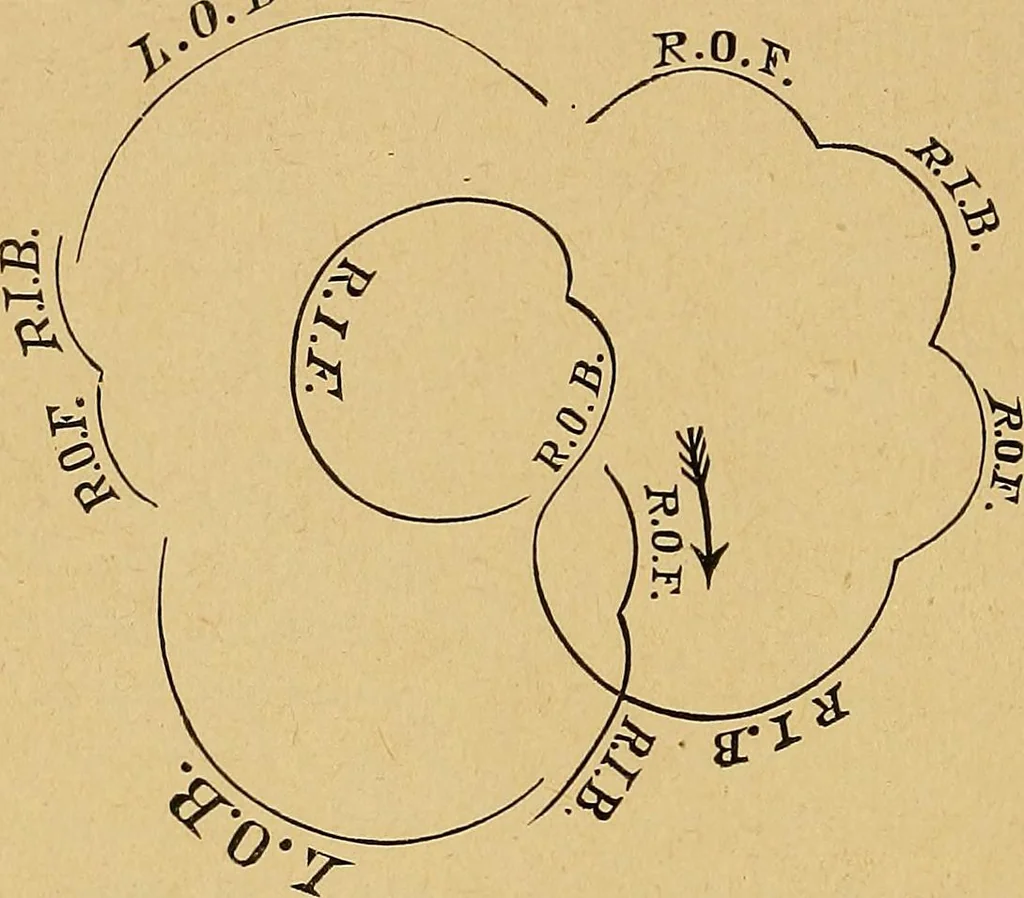 An illustration from Our boys; what they can do and how to do it, 1893, leaf 145