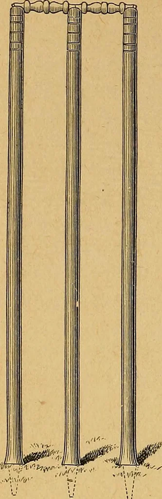 An illustration from Our boys; what they can do and how to do it, 1893, leaf 163