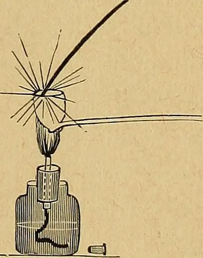 An illustration from Our boys; what they can do and how to do it, 1893, leaf 178