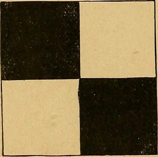 An illustration from Our boys; what they can do and how to do it, 1893, leaf 185