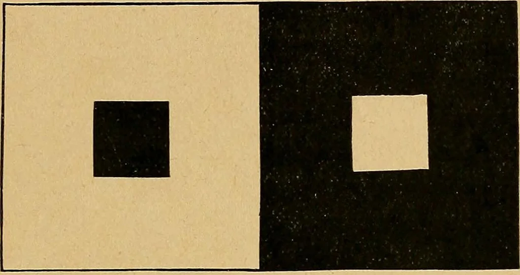 An illustration from Our boys; what they can do and how to do it, 1893, leaf 186