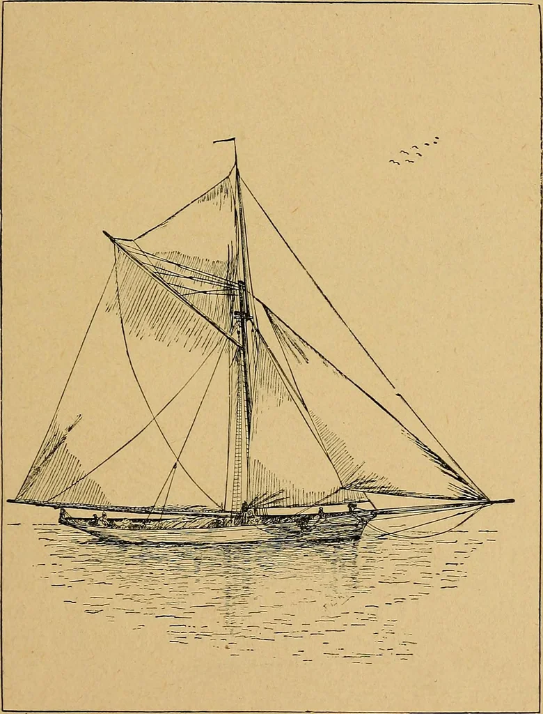 An illustration from Our boys; what they can do and how to do it, 1893, leaf 74