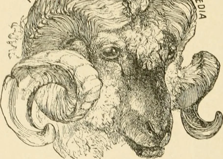 An illustration from Our country, the marvel of nations; its past, present, and future, and what the Scriptures say of it, 1901, leaf 173