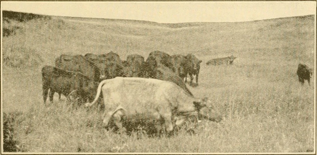 An illustration from Our country, the marvel of nations; its past, present, and future, and what the Scriptures say of it, 1901, leaf 248