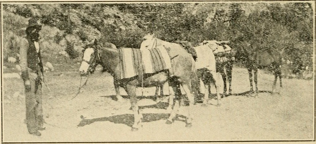 An illustration from Our country, the marvel of nations; its past, present, and future, and what the Scriptures say of it, 1901, leaf 267