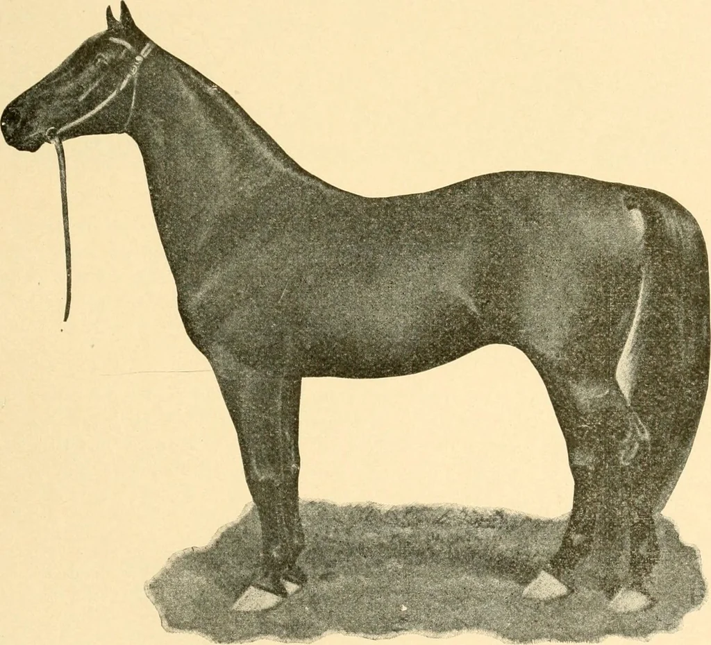 An illustration from Our country, the marvel of nations; its past, present, and future, and what the Scriptures say of it, 1901, leaf 58