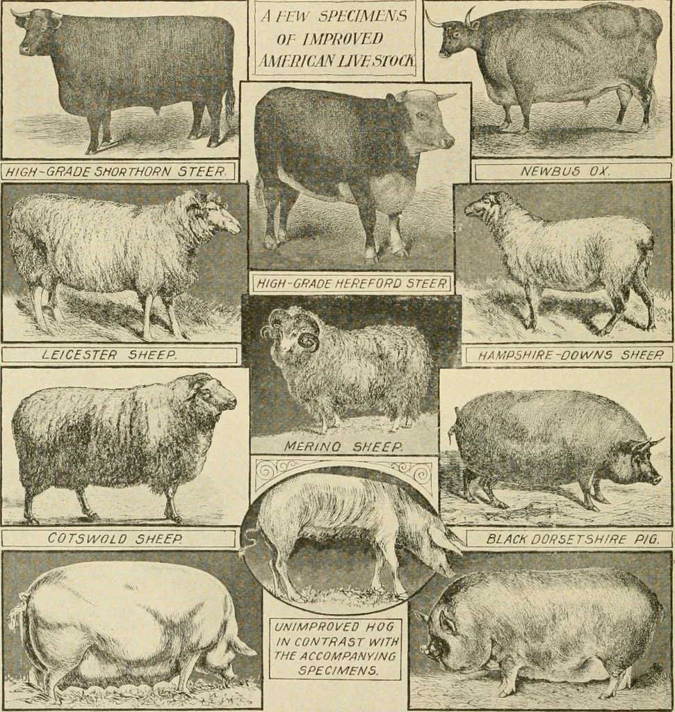 An illustration from Our country, the marvel of nations; its past, present, and future, and what the Scriptures say of it, 1901, leaf 63