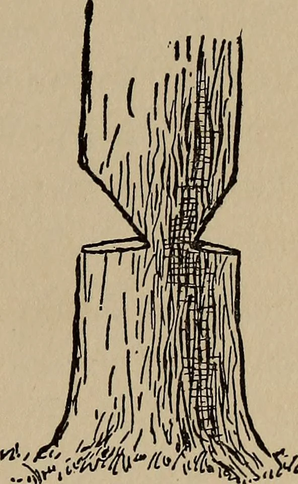 An illustration from Ourdoor sports and games, 1911, leaf 114