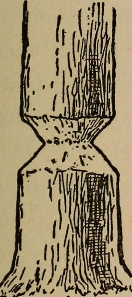 An illustration from Ourdoor sports and games, 1911, leaf 114