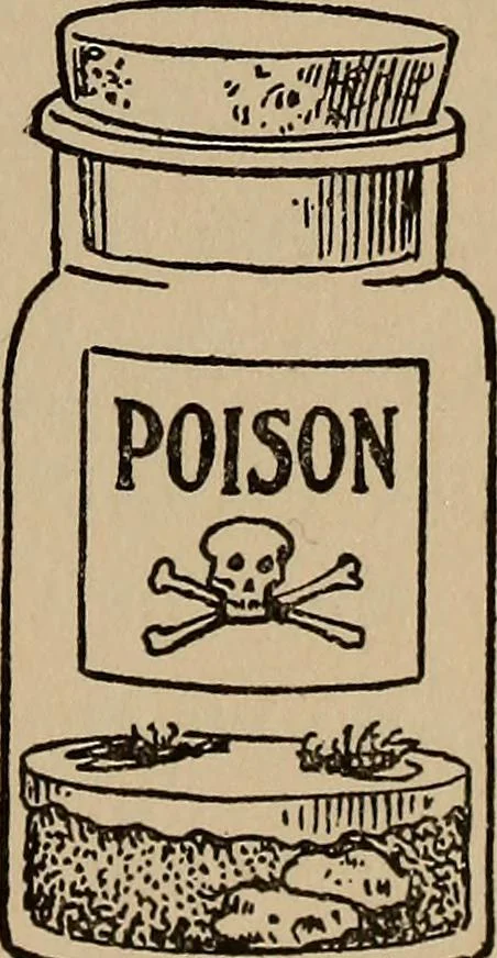 An illustration from Ourdoor sports and games, 1911, leaf 168